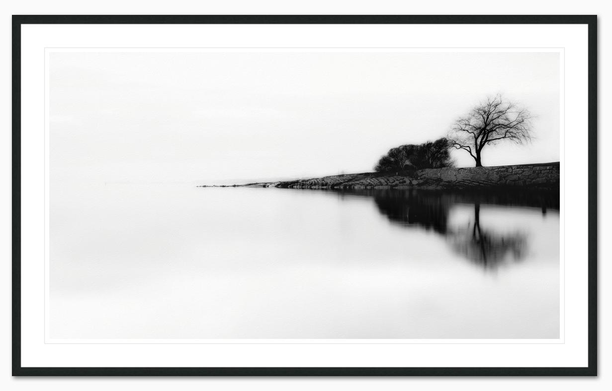 lonely tree framed - Erik Brede